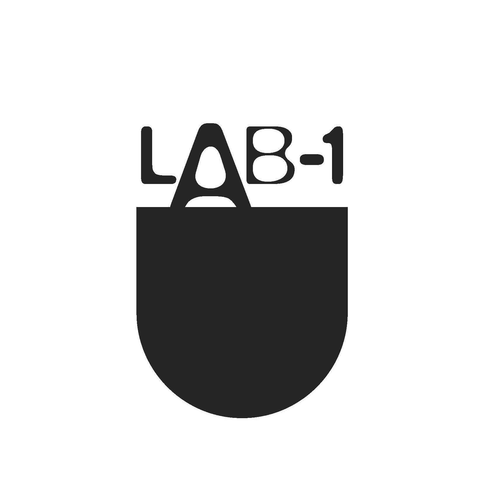 LAB-1